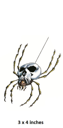 Skull spider design with size label '3 x 4 inches' on a white background