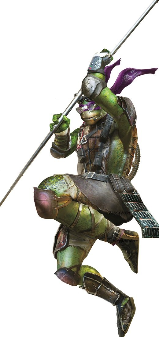 15 Inch Donatello Donnie Ninja Turtle TMNT Removable Peel Self Stick Wall Decal Sticker Art Kids Decor Boys Room 15 x 7 inches
