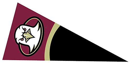 10 Inch BC Golden Eagle Logo Pennant Decal Flag Boston College Eagles Removable Wall Sticker Art NCAA Home Room Decor 10 by 5 Inches