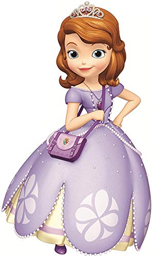 9 Inch Sofia The First Decal Disney Princess Repositionable Removable Peel Self Stick Wall Sticker Art Home Decor (Decoration for Walls Laptop Tumbler) 5 by 9 inch