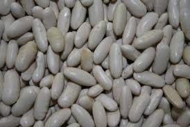 Tenderette Green Beans Garden Bush Bean Seed 25 Count Seeds