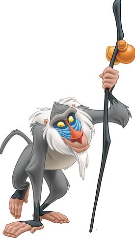 12 Inch Rafiki Baboon Monkey Lion King Movie Animal Removable Peel Self Stick Adhesive Vinyl Decorative Wall Decal Sticker Art Kids Room Home Decor Girl Boy Children Bedroom 6 1/2 x 12 inch Tall