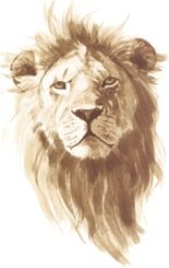 3 Inch Lion King of Jungle Animals African Safari Africa Removable Peel Self Stick Adhesive Vinyl Decorative Wall Decal Sticker Art Kids Room Home Decor Girl Boy Children Bedroom Nursery 2x3 inch tall
