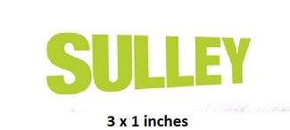 Text 'SULLEY' in green on a white background with dimensions '3 x 1 inches'.