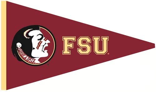 Wigglewalls 9 Inch FSU Osceola Logo Pennant Decal Flag Florida State University Seminoles Noles FS FL Removable Wall Sticker Art NCAA Home Room Decor 9 by 5 Inches